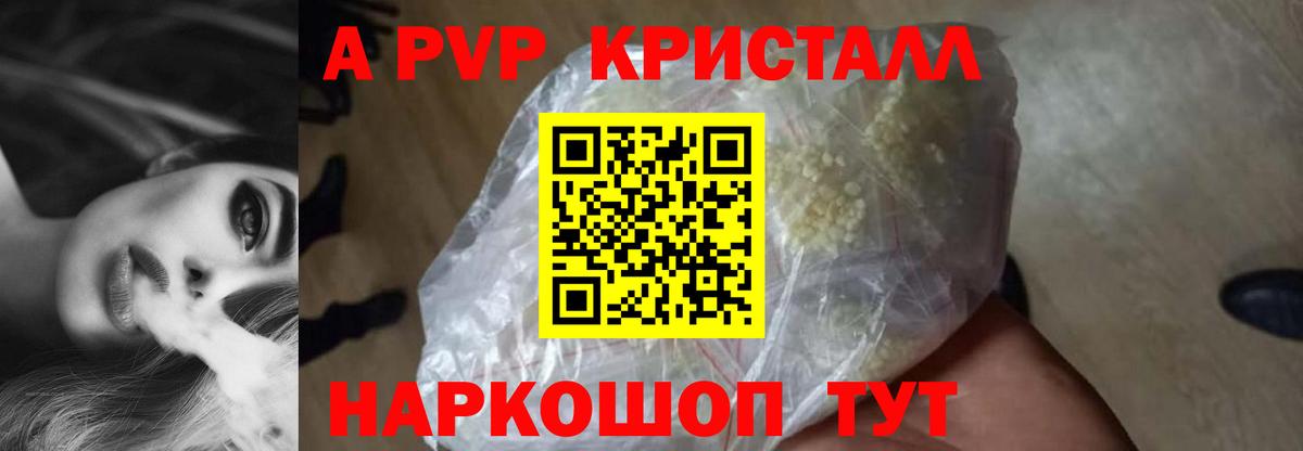 Alfa_PVP СК Алатырь