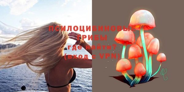 тгк Медвежьегорск