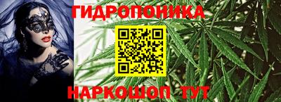 прущие крисы Абакан
