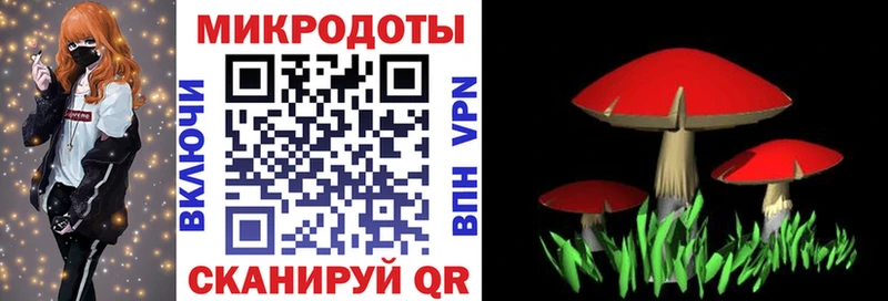 Галлюциногенные грибы Cubensis  Алатырь 