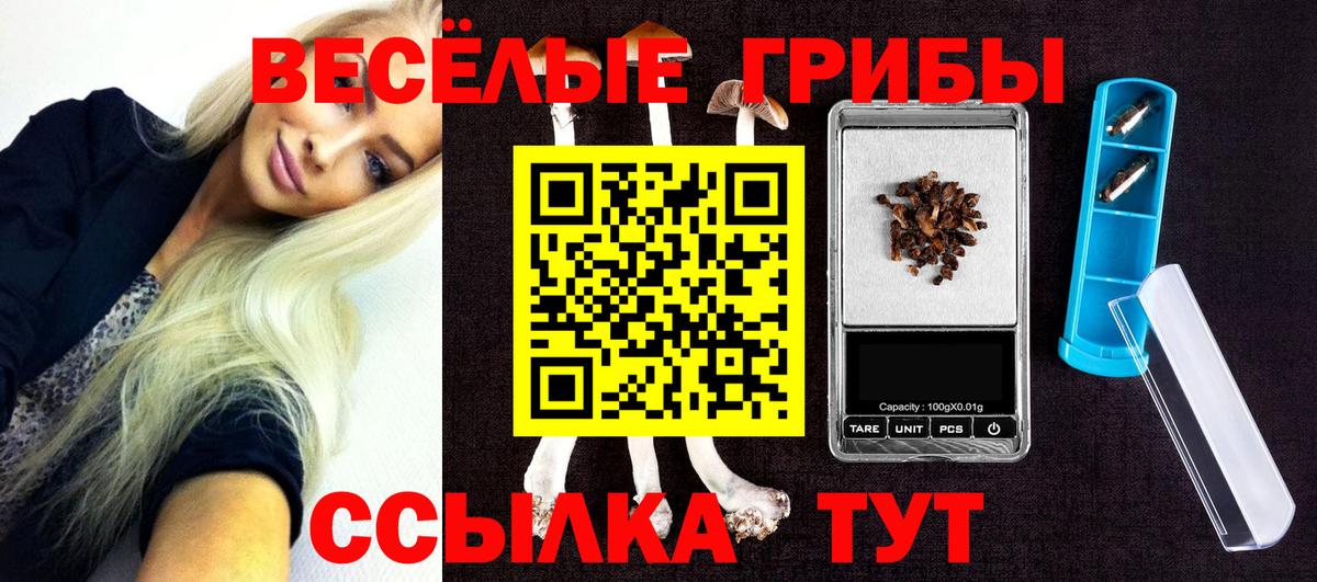 Галлюциногенные грибы мухоморы Алатырь