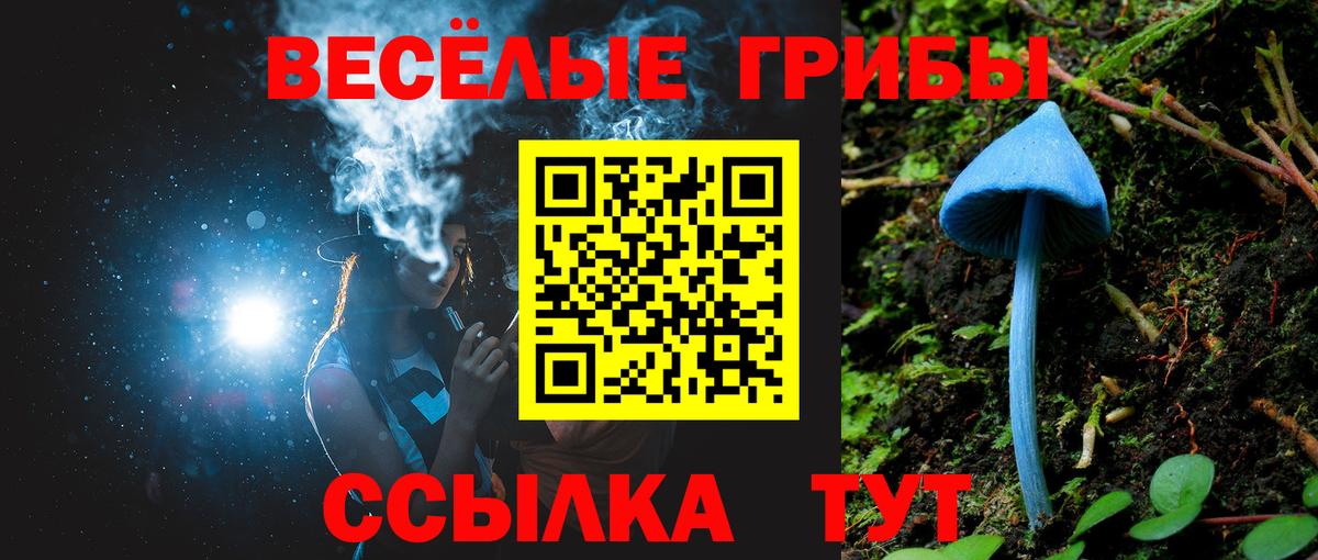 Алатырь  Галлюциногенные грибы мухоморы  Вход с VPN 
