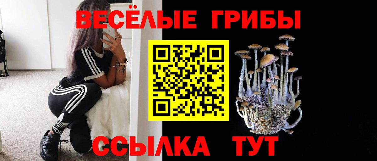Псилоцибиновые грибы прущие грибы Алатырь