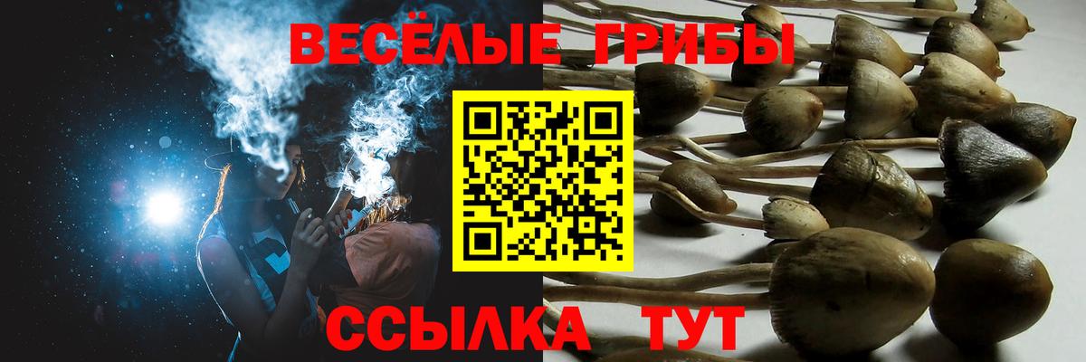ГАШ  Кокаин  Меф МЯУ МЯУ   МЕТАДОН  Вход с VPN  ГАШ  Марихуана  Алатырь  APVP СК  